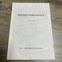 S-2177■新潟県埋蔵文化財調査事業団年報 平成8年度■財団法人新潟県埋蔵文化財調査事業団■平成9年4月1日発行■_画像1