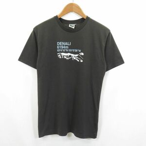 THE NORTH FACE DENALI ドライ Tシャツ sizeL/ノースフェイス 　0705