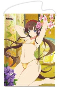 未開封品 閃乱カグラ NewWave Gバースト 両備 B2タペストリー 金ビキニ