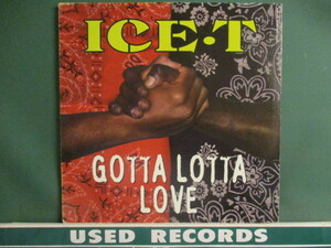 Ice-T ： Gotta Lotta Love 12'' (( IceT Ice T / 落札5点で送料当方負担