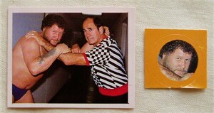 ルーテーズ&ハーリーレイス プロレス ステッカー シール 2枚セット■全日本プロレス NWA世界ヘビー級王者 鉄人 美獣 YK