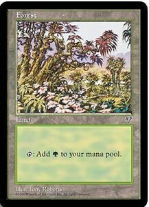 MTG　森　基本土地　A　在庫英3枚まで　ミラージュ　MIR　★他多数出品中