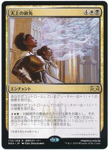 MTG　天上の赦免　在庫日4枚まで　ラヴニカの献身　RNA　★他多数出品中