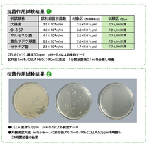 ※送料込・週1の自社製造※安全・安心の消臭・除菌・ウィルス対策／弱酸性次亜塩素酸水『CELAセラ』4L×2本＋おまけ付／pH6.5・濃度50ppm_画像5