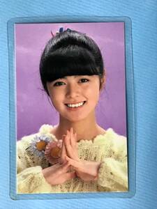 武田久美子　ラミネートカード　No.２３６