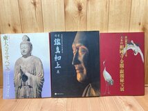 日本仏教史　全10巻揃+図録3点/辻善之助　1969年～　EKE408_画像6