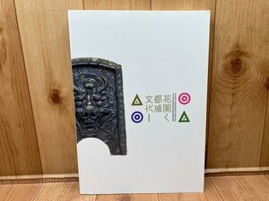 図録　花開く都城文化　奈良文化財研究所創立60周年記念　CGA740