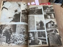 農業朝日　創刊～通巻48号まで揃【昭和21～24年】/朝日新聞社,アヒルの飼い方・リンゴ園の経営と技術・件・和牛の利用・DDT　YDB1014_画像6