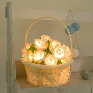  rose & Lee franc pLED light display interior beige interior illumination Galland jewelry light 