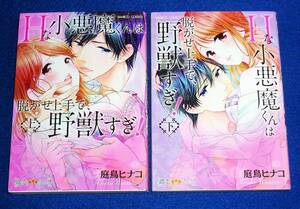  Hな小悪魔くんは脱がせ上手で、野獣すぎ! 上・下　※２巻セット (バンブーコミックス) コミック ●★庭鳥 ヒナコ (著)　【6】