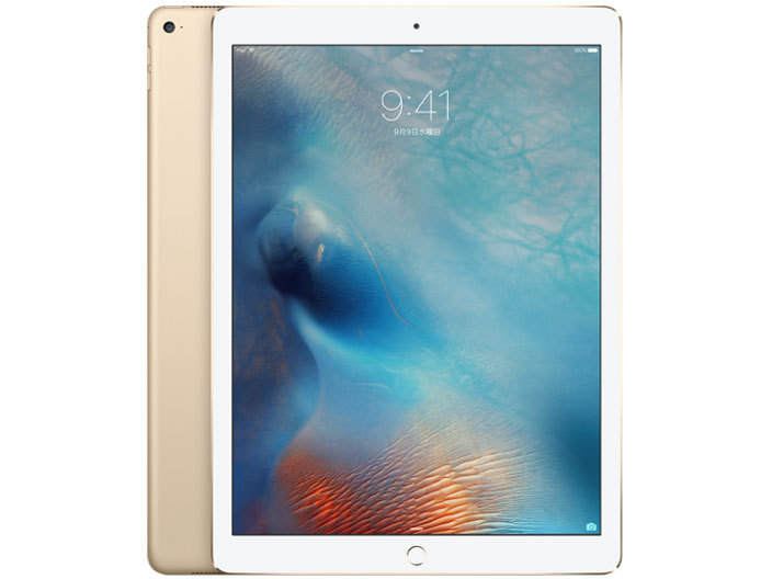 送料無料☆大容量】Apple iPad Pro 9.7インチ（第1世代）256GB