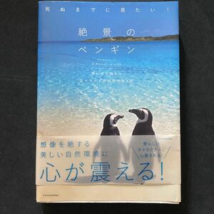 死ぬまでに見たい! 絶景のペンギン 青い氷の国からエメラルド色の南の島まで