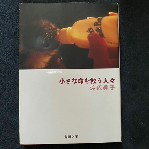 小さな命を救う人々 （角川文庫） 渡辺真子／〔著〕