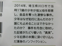 誰もボクを見ていない　なぜ１７歳の少年は祖父母を殺害したのか　山寺香　毎日新聞記者_画像2