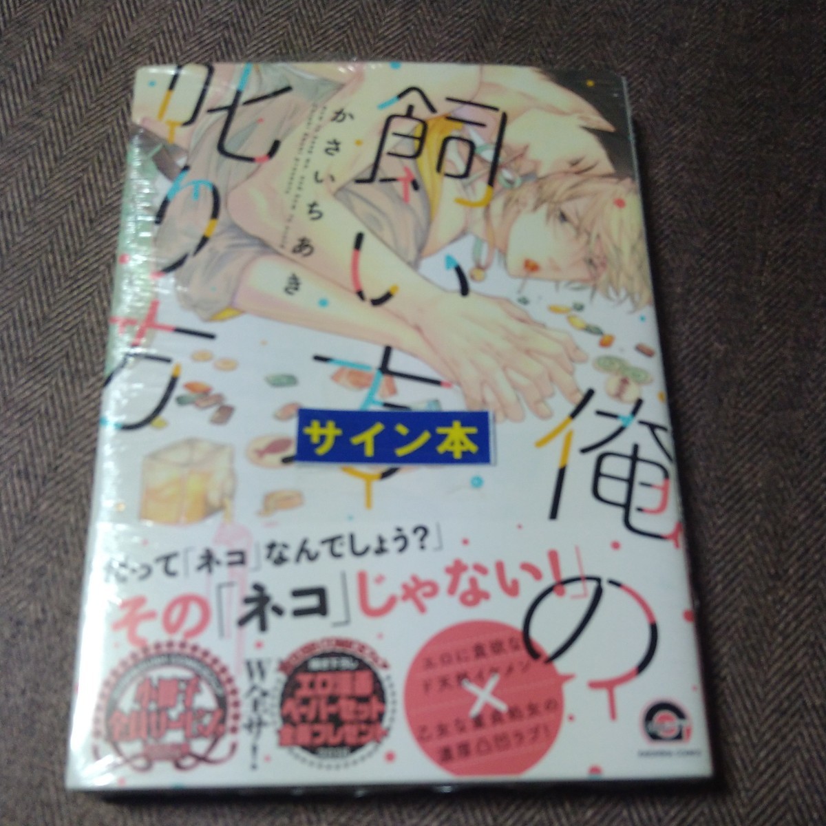 Illustrated autographed book How to scold my pet by Kasai Chiaki, shrink-wrapped and unopened, with 2 types of bonus papers, BL Comics, Book, magazine, comics, comics, boys love