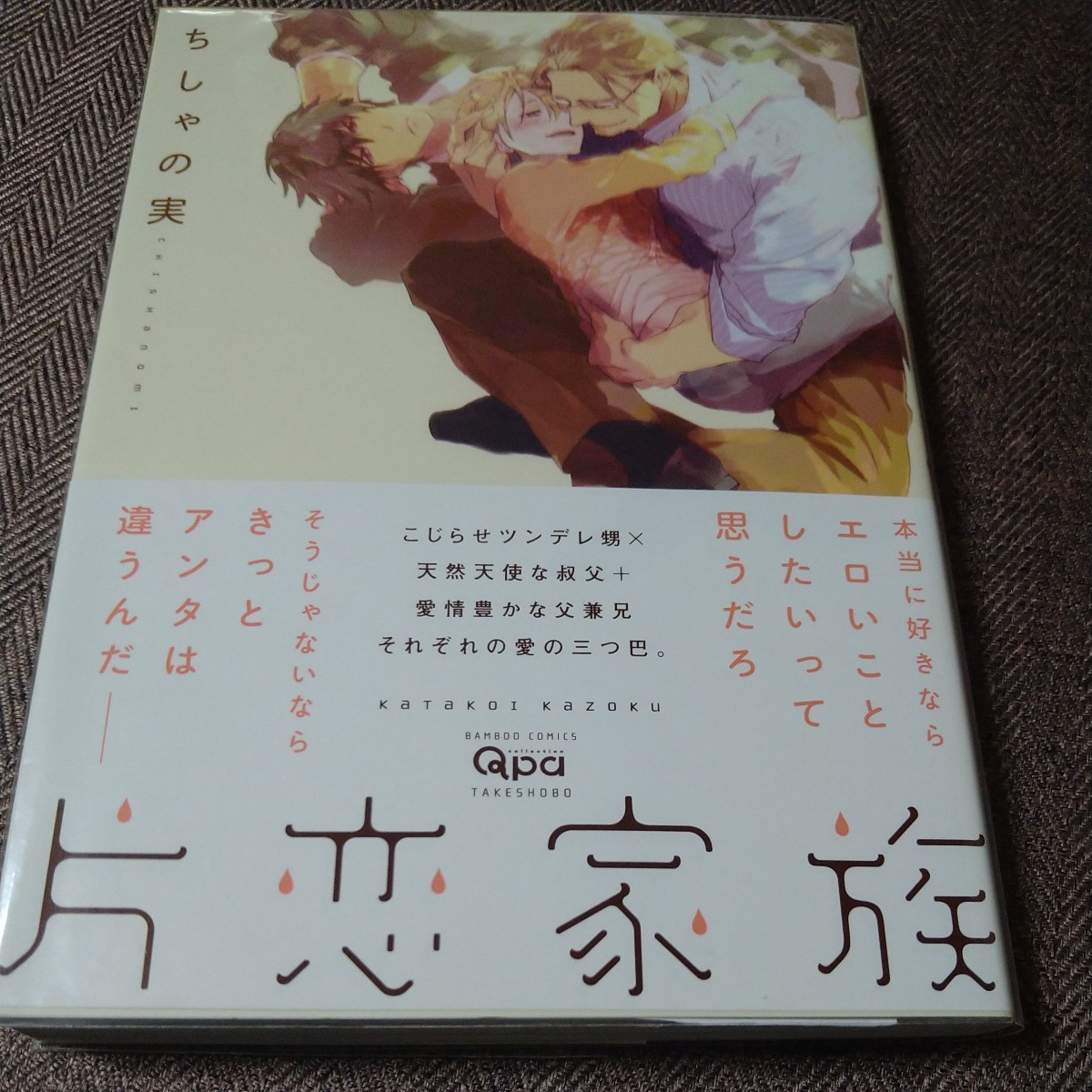 Illustriertes handsigniertes Buch Single Love Family Chishanomi, Buch, Zeitschrift, Comics, Comics, Jungs lieben