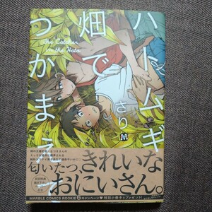 Art hand Auction イラスト入り直筆サイン本｢ハトムギ畑でつかまえて｣さり 特典ペーパー付き, 本, 雑誌, 漫画, コミック, ボーイズラブ