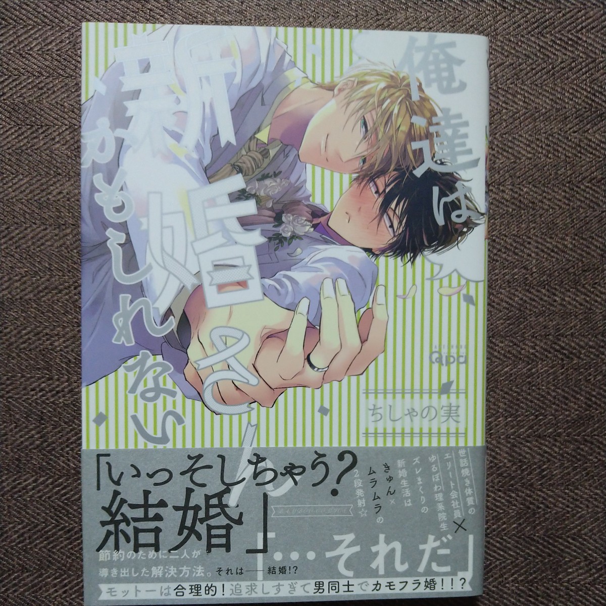 イラスト入り直筆サイン本｢ 俺達は新婚さんかもしれない｣ ちしゃの実, 本, 雑誌, 漫画, コミック, ボーイズラブ