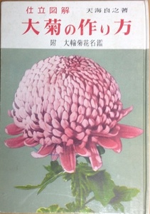 仕立図解 大菊の作り方 天海良之 244頁 昭和30/10 加島書店