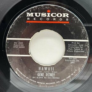 [ tropical ... feeling overflow Hawaiian R&R!!]US original 7 -inch GENE PITNEY Hawaii ('64 Musicor) Gene *pi Tony 45RPM.
