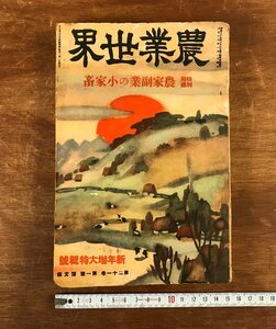 HH-6166 ■送料込■ 農業世界 新年増大特輯号 第21巻第1号 博文館 雑誌 農業 資料 本 古本 古書 古文書 印刷物 /くJYら