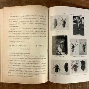 BB-5902 ■送料込■ 日本アルプス山系の蜘蛛 クモ クモ類 小松進 本 古本 古書 古文書 写真 非売品 昭和16年 163P 印刷物/くKAらの画像5