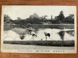 FF-4874 ■送料込■ 岡山後楽園 砂利山と鳥城の遠望 庭園 公園 パーク 名園 鳥 鶴 戦前 風景 景色 絵葉書 写真 古写真/くNAら/くJYら