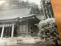 FF-5011 ■送料込■ 宮城県 陸奥国一宮 塩釜神社 志波彦神社 社殿 神社 寺 宗教 建築物 建物 名所 絵葉書 エンタイア 写真 古写真/くNAら_画像4