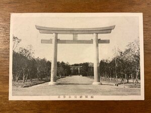 JJ-1213■送料込■ 橿原神宮 表参道 鳥居 景色 風景 絵葉書 エンタイア 古写真 写真 印刷物/くSIら