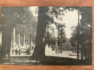 FF-5053 ■送料込■ 和歌山県 高野山 奥の院参道一ノ橋 老樹 女性 人 神社 寺 宗教 風景 景色 戦前 弘法大師 絵葉書 写真 古写真/くNAら