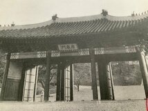 FF-5229 ■送料込■ 朝鮮 韓国 京城府 春畝山博文寺発行 博文寺総門 扁額 慶春門 神社 寺 宗教 戦前 風景 景色 絵葉書 写真 古写真/くNAら_画像3