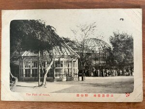 FF-5433 ■送料込■ 兵庫県 神戸市 須磨 須磨遊園地 動物園 人 女性 風景 景色 戦前 エンタイア 絵葉書 写真 古写真/くNAら/くJYら