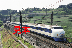 鉄道写真、35ミリネガデータ、118400660016、0系（YK41編成）（長い間のご利用）、JR東海道本線、掛川～静岡、1999.09.09、（3088×2047）