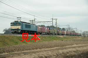 鉄道写真データ（JPEG）、00030321、EF64-1048＋貨物、JR東北本線、蓮田〜東大宮、2013.02.14、（7360×4912）