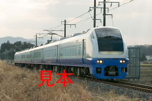 鉄道写真データ（JPEG）、00040457、特急フレッシュひたち、653系（K308編成）、JR常磐線、友部〜内原、2013.03.14、（6847×4570）