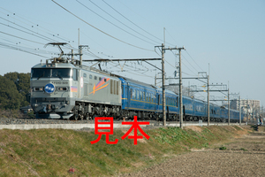 鉄道写真データ（JPEG）、00030318、EF510-509＋北斗星、JR東北本線、蓮田〜東大宮、2013.02.11、（7053×4707）