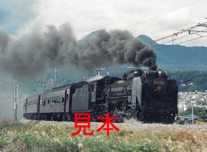 鉄道写真645ネガデータ、119100690008、D51-498＋旧客、JR上越線、渋川～敷島、1999.10.14、（4033×2953）