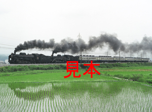 鉄道写真、645ネガデータ、162437190001、D51-498＋C57-180＋12系、SL重連みなかみ号、JR上越線、八木原〜渋川、2011.07.03、（4591×3362