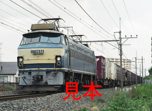 鉄道写真、645ネガデータ、167092130011、EF66-52＋貨物、JR東北本線、蓮田〜東大宮、2012.09.11、（4376×3205）