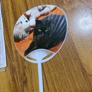  веер "uchiwa" кошка be flat