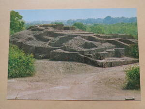 絵葉書　インドの仏跡第6集　舎衛城の跡