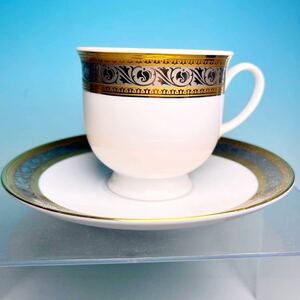 * Rosenthal gold paint cup & saucer ( box less .)