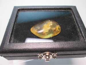 * valuable . insect entering natural amber. loose 8g case attaching handmade . please 