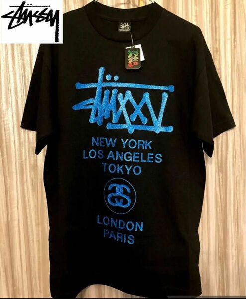 STUSSY 00s デッドストック　タグ付き未使用品！！ストックロゴ！！