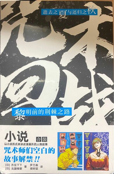呪術廻戦　中国版　小説 2冊セット　新品