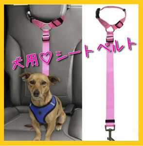 ペット用品 シートベルト リード 安全ベルト ピンク ドライブ 車載 犬 ペット安全 ベルト お出かけ 犬リード 車ベルト 犬