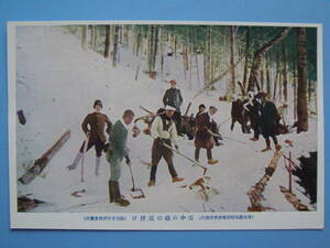 戦前絵葉書 樺太 雪中の橇の道付け 森林作業 (G95)　