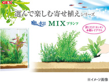 GEX 癒し水景 MIXプランツL ロタラ 熱帯魚 観賞魚用品 水槽用品 アクセサリー ジェックス_画像3