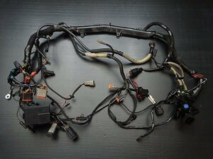  Buell lightning * XB12S original main harness! (E7182)