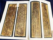 ■サンクトペテルブルグのサンスクリット断片:中央アジアの仏教写本 既刊全1冊【The St. Petersburg Sanskrit fragments volume1】辛嶋静志_画像6